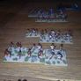 DBM 15mm Beja army Image 3