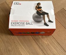 66Fit exercise/pregnancy ball