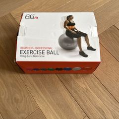 66Fit exercise/pregnancy ball