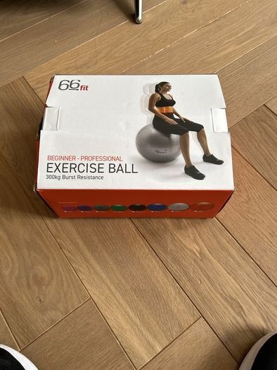 66Fit exercise/pregnancy ball