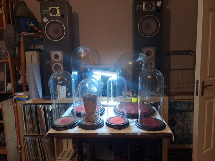 Vintage Glass Domes,Taxidermy or Interior Design.