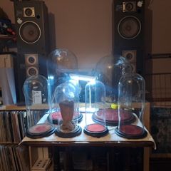 Vintage Glass Domes,Taxidermy or Interior Design.