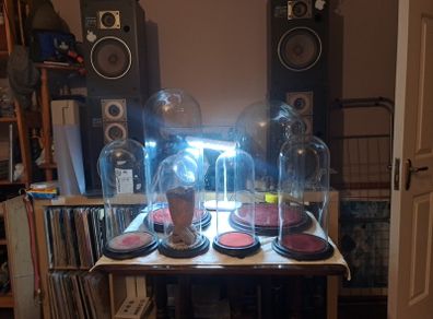 Vintage Glass Domes,Taxidermy or Interior Design.