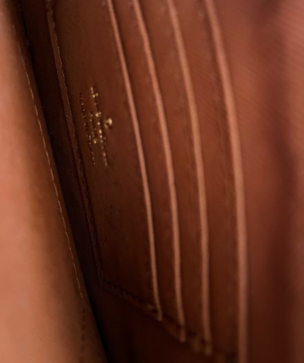 Louis Vuitton inspired wallet pouch