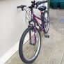 apollo jewel ladies mountain  bike.size 14 Image 2