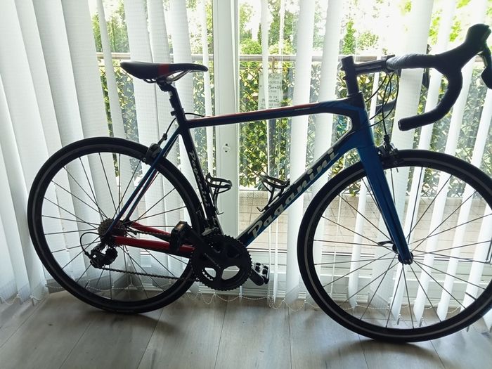 20 Speed Paganini Road Bike