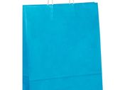 lot of 20 Light Blue paper bags M size eco-friendly bags 25 x 12 x 30 cm / 9.8 x 4.7 x 11.8 inches with white twisted handles