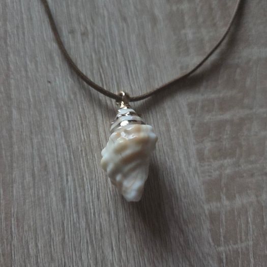 Shell necklace, NEW