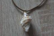 Shell necklace, NEW