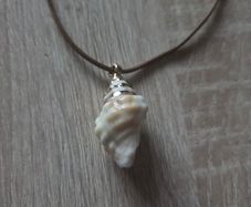Shell necklace, NEW