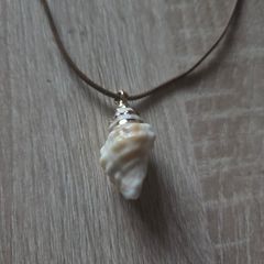 Shell necklace, NEW