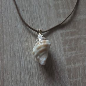 Shell necklace, NEW