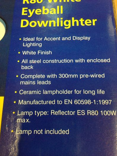 R80 Eyeball Downlighter