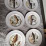 Set of 6 vintage plates Image 5