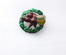 Vintage German/Bavarian Hat Badge - Heidelberg