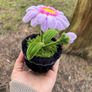 Handmade Flower Pot Decor Image 5