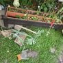 planter Image 2