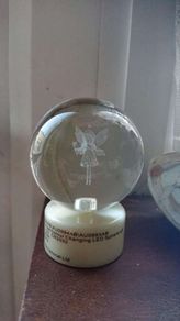 Fairy globe with light