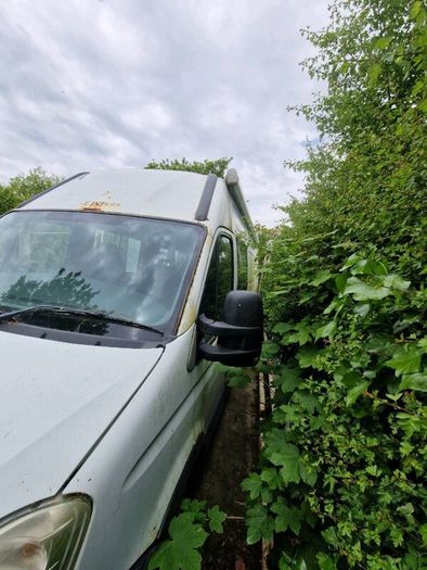 Iveco 2.3 diesal
