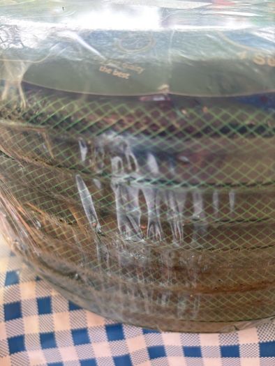 30 Metre Reinforced Garden Hose (new)
