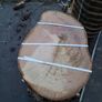 hardwood Image 7