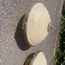 antique brass lampshades Image 5