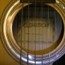 ELEVATION Acoustic Guitar Image 2