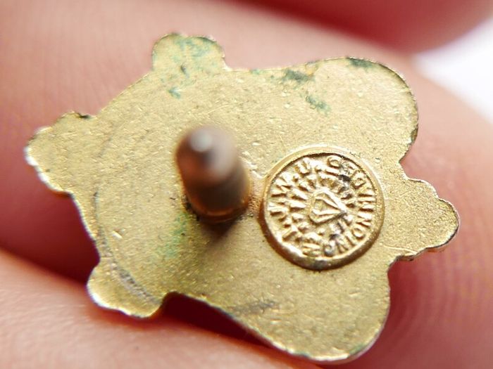 Vintage Irish Ancient Order Of Hibernian Enamel Badge