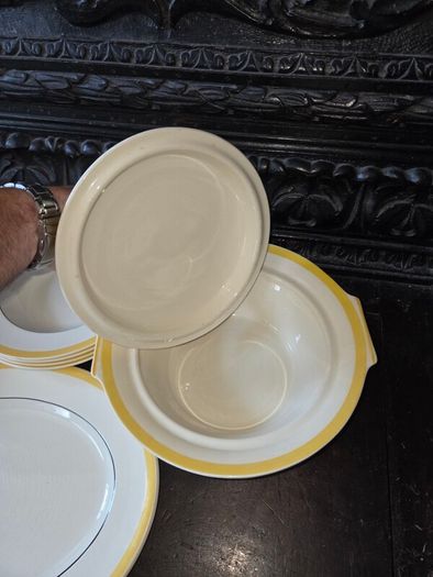 Hand Painted Myott 18 piece dinner set
