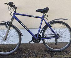Gents bike