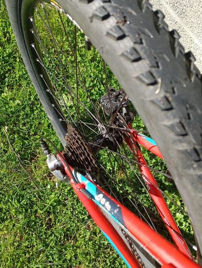 Trek  Mtb