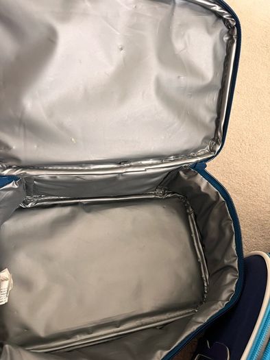 2 school bags and lunch bags all for 20