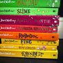 David Walliams 23 BOOKS Image 2