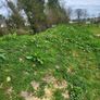 topsoil Image 6