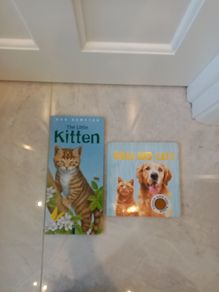 Dogs and Cats books