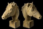 Horse Head EG018