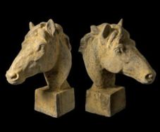 Horse Head EG018