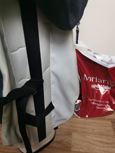 ping golf bag
