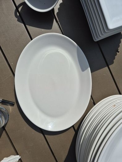 crockery 12 inch steak plates