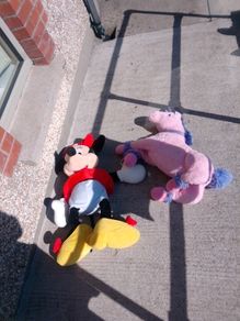 teddys