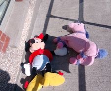 teddys