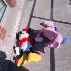 teddys