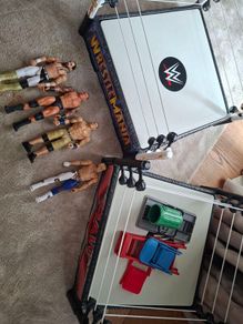 Wrestling toys