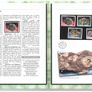 2007 Jersey (Channel Islands) Stamp Year Book (softback) issued by Jersey Post with 20 images of contents Image 4