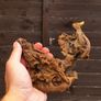 Small Bogwood Image 2