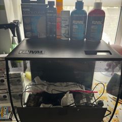 fluval fish tank and plenty of accessories
