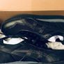 Brand NEW Boys Size 4 Aasics Tiger Runner Image 2