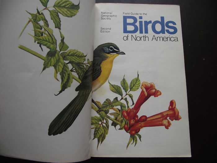 1987 "Field Guide To The Birds Of North America - National Geographic Society"