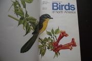 1987 "Field Guide To The Birds Of North America - National Geographic Society"