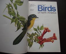 1987 "Field Guide To The Birds Of North America - National Geographic Society"